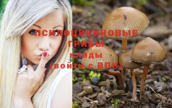 наркотики Алексеевка