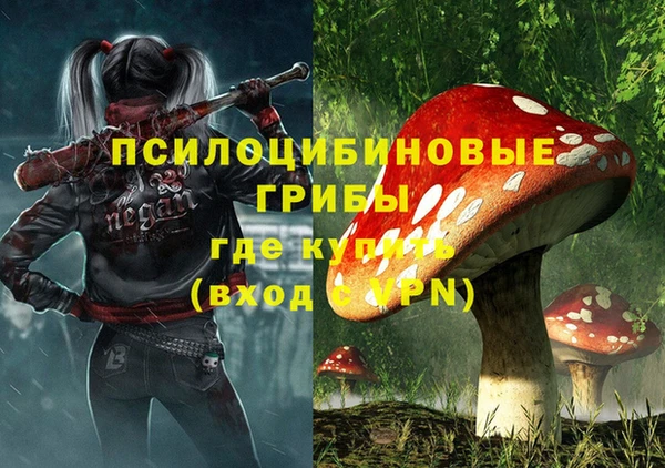 первитин Армянск